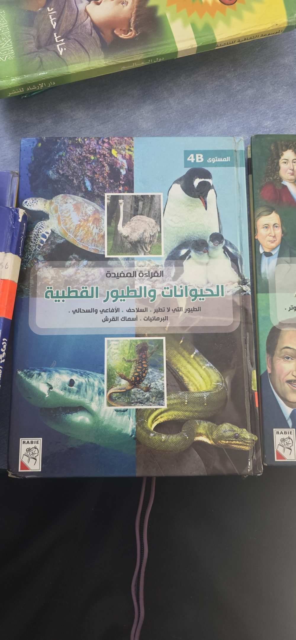 القراءة المفيدة الحيوانات والطيور القطبية