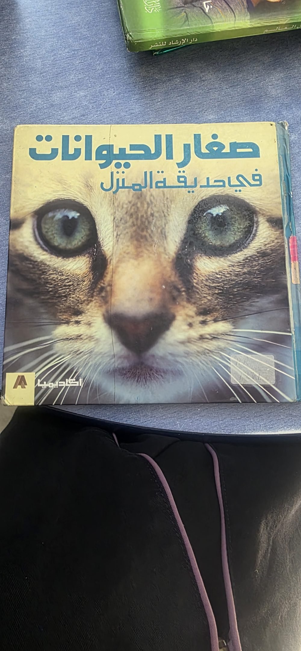 صغار الحيوانات في حديقة المنزل
