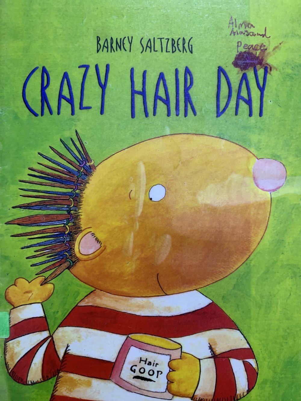 Crazy Hair Day
