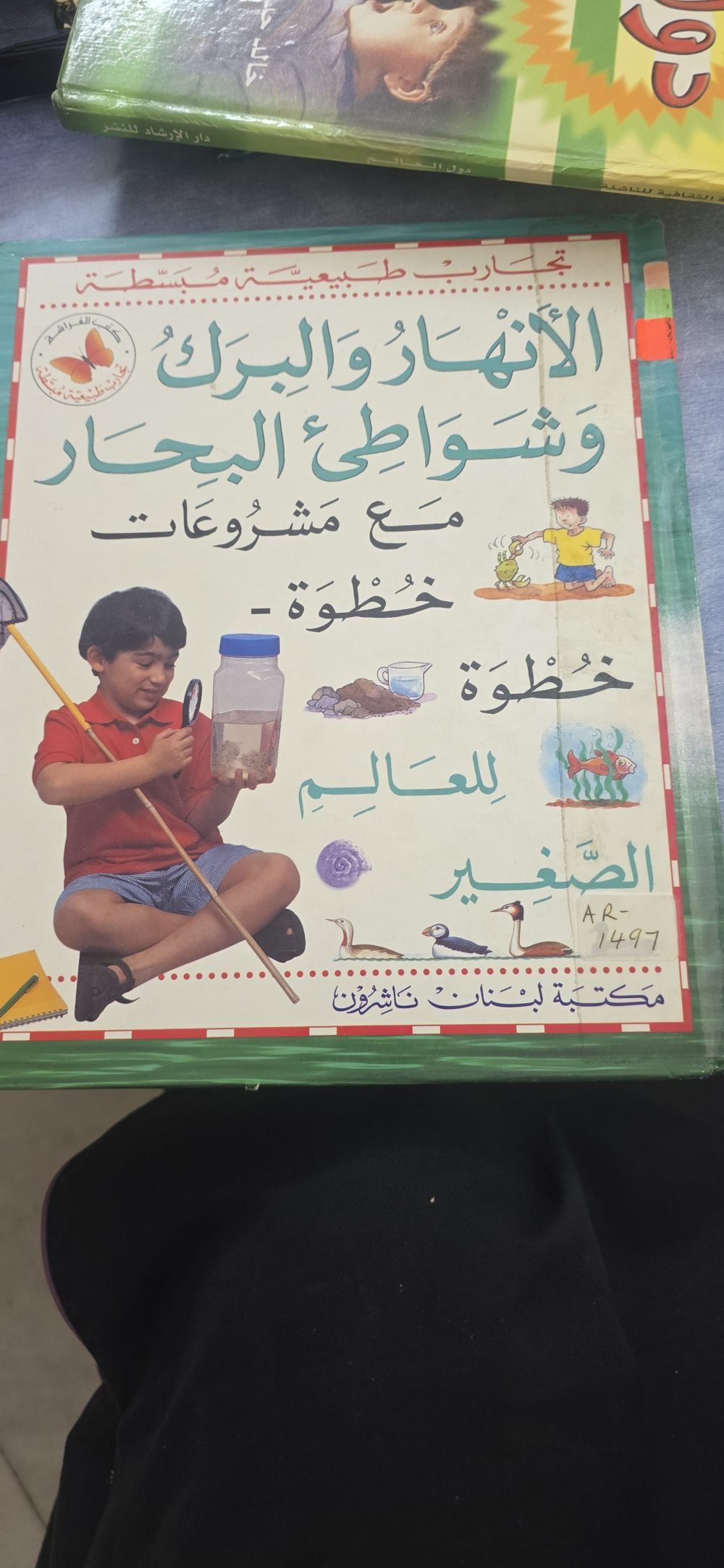 الأنهار والبرك وشواطئ البحار