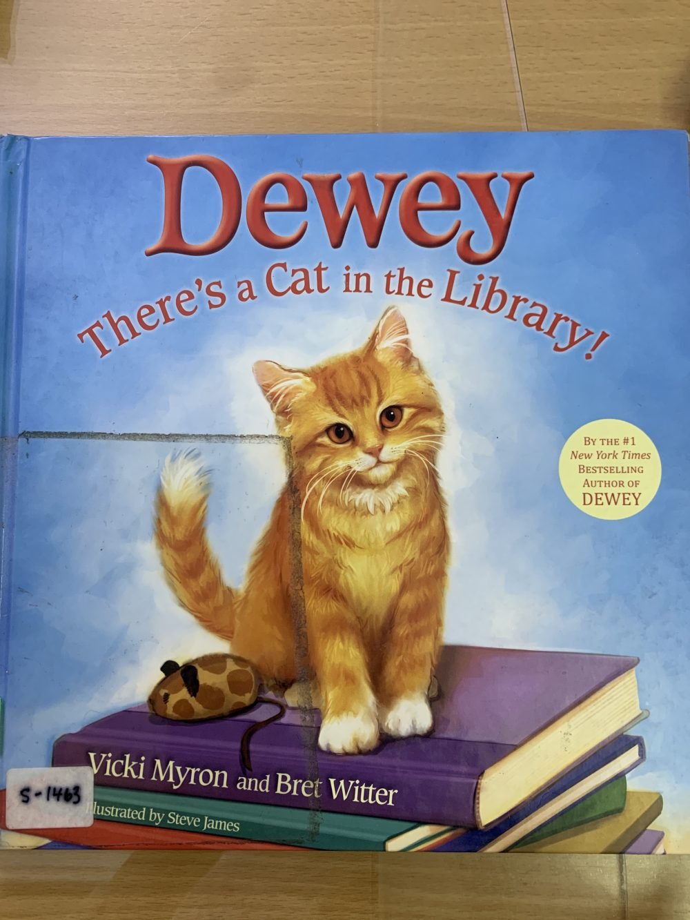 Dewey There’s a Cat in the Library