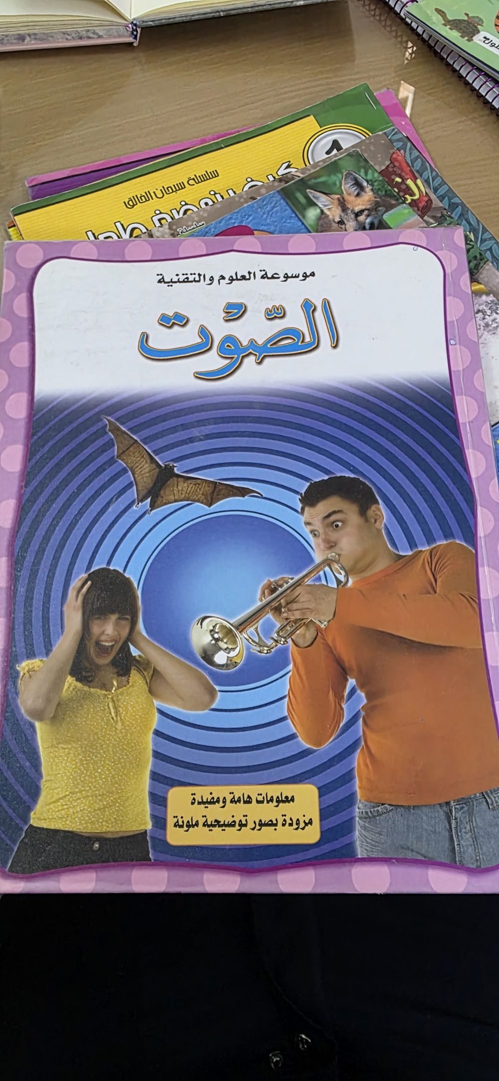 الصوت