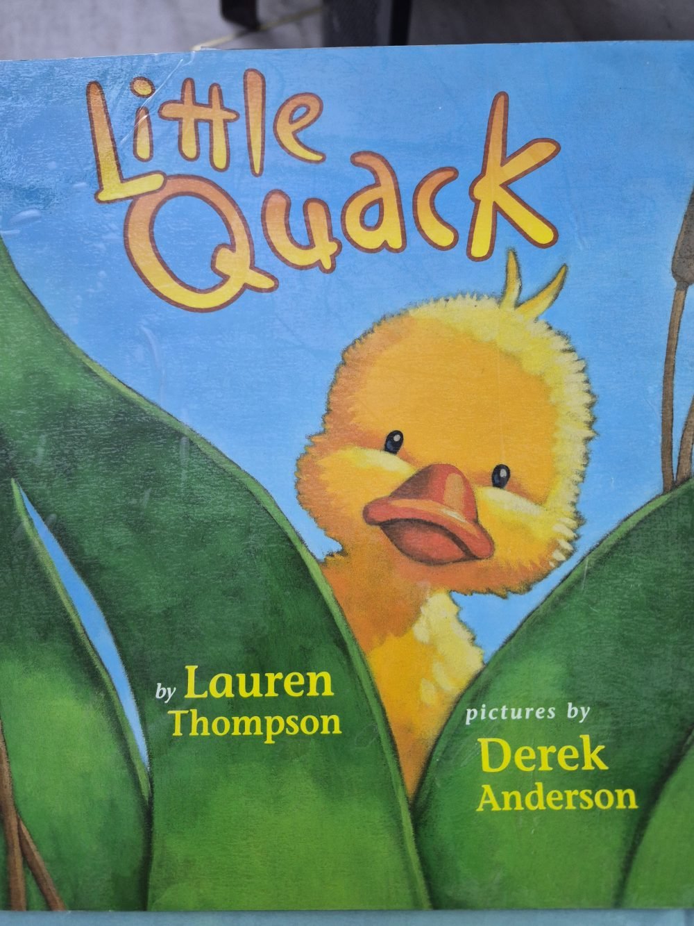 Little quack