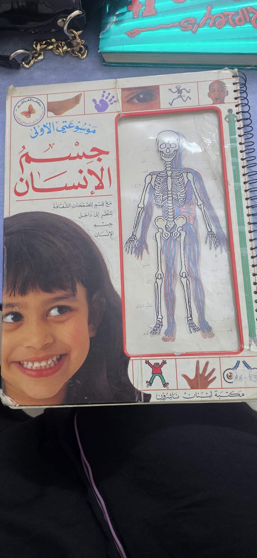جسم الإنسان