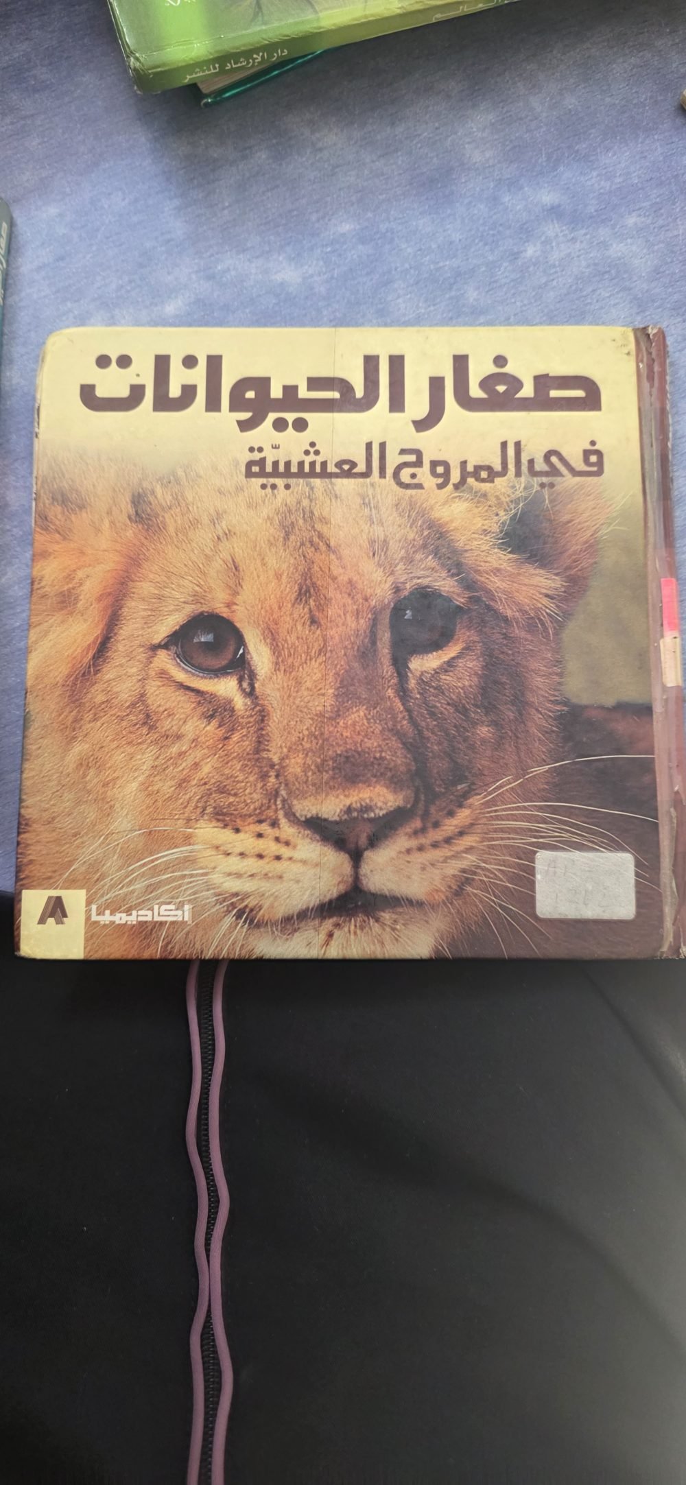 صغار الحيوانات في المروج العشبية